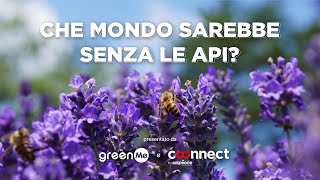 Che mondo sarebbe senza le api Le regine di un ecosistema connesso  COONNECT By CoopVoce [upl. by Rehptosirhc]