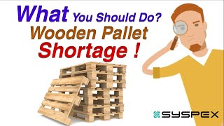 Wooden Pallet Shortage What You Should Do [upl. by Ardnu]