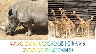 Parc Zoologique de Paris  Zoo de Vincennes [upl. by Laurianne]