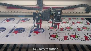 CCD camera double head co2 laser machine cutting engraving 150W with high speed rails [upl. by Fuller]