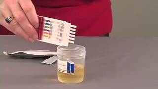 DrugCheck Dip Test Procedure Video [upl. by Ajani258]