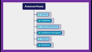 AMENORRHEA  Symptoms diagnosis treatment [upl. by Bernarr]