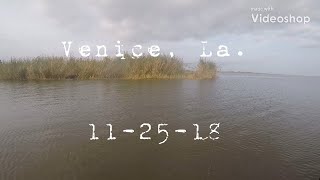 kayak fishing Venice La [upl. by Atsedom265]