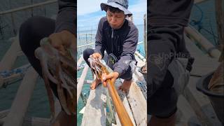 Cek perangkap dapat cumi langsung masak ditempat fishing shortvideo mancingcui seafoodmurah [upl. by Cousin]