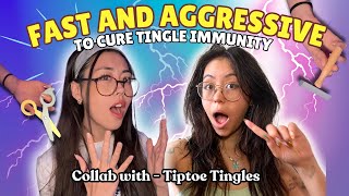 ASMR Fast and Aggressive triggers to CURE TINGLE IMMUNITY ☺️✨ COLLAB  TipToe Tingles ASMR 🐸🎀 [upl. by Aurita366]