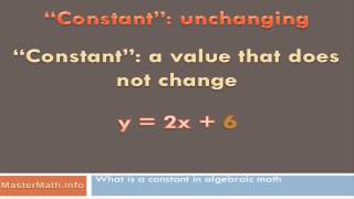 What Is a Constant in Algebraic Math [upl. by Shafer]