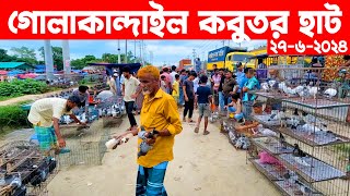 গোলাকান্দাইল কবুতর হাট ২৭৬২০২৪  pigeon market in bangladesh  Golakandail kobutor hat [upl. by Etnecniv]