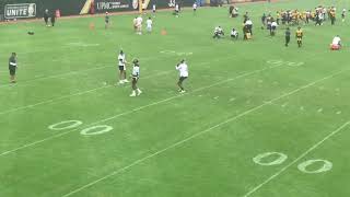 Sights and Sounds from Steelers OTAs Dwayne Haskins Works on RedZone Touch Footwork [upl. by Elaynad357]