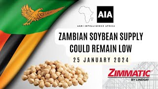 LOW Zambian Soybean Supply  25 Jan 2024  African Agri Overview [upl. by Troc46]