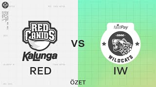 fastPay Wildcats IW vs RED Canids Kalunga RED Maç Özeti  MSI 2022 Grup Aşaması 2 Gün [upl. by Lekzehcey]