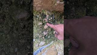 So Crazy😱😱‼️we got 99999 in one pan golddiscovery goldprospecting [upl. by Otha527]