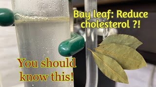 Why I dont know this earlier Steam distillation of bay leaf Benefits of bay leaf Steam vs Hydro [upl. by Renault]