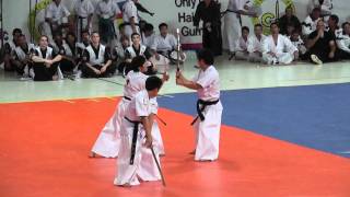 Haidong Gumdo 2010  Gjoeck gum [upl. by Riha51]