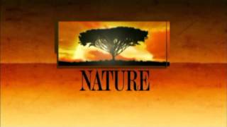 Nature Closing Theme 19951999 [upl. by Llertrac723]