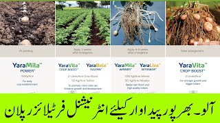 Boost Potato Yields with This Fertilizer Plan  Cyber Agri Extension  آلو۔ بھرپور فرٹیلائزر پلان [upl. by Melleta]