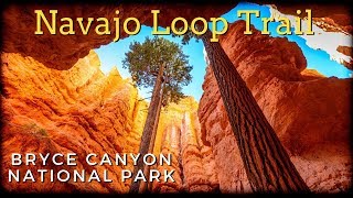 Navajo Loop Trail  Bryce Canyon National Park  3 min [upl. by Aeirdna]