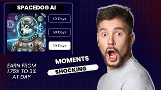 Spacedog Ai Quantitative System  Earn from 175 to 3 at daytrading tradingstrategy binance [upl. by Leima]