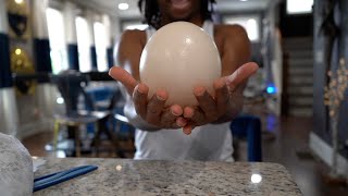 EATING The Worlds LARGEST boiled OSTRICH EGG [upl. by Juback]