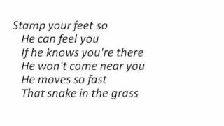 Bindi Irwin  Snake in the Grass LYRICS ON SCREEN [upl. by Oremoh261]