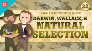 Darwin and Natural Selection Crash Course History of Science 22 [upl. by Doughman150]