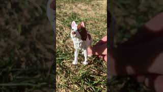 New husky custom schleich schleichdog schleichwolf shorts shortsfeed fyp art [upl. by Meridel]