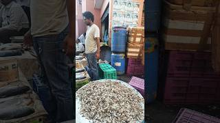 Amazing fist time go Musheerabad fish market fishing shortsfeed trendingshorts shorts vlog [upl. by Ridglee]