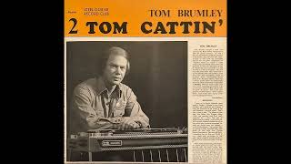 Toms Waltz  Tom Brumley  Pedal Steel Guitar [upl. by Yentuoc]