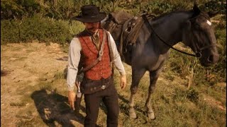 Doc Holliday Outfit  Red Dead Online [upl. by Airbmac]