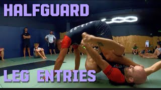 Half Guard Leg Entries [upl. by Eylatan]