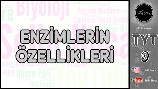 7 Enzimlerin Özellikleri [upl. by Aleetha225]