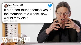 Biologist Answers Even More Biology Questions From Twitter  Tech Support  WIRED [upl. by Imij]