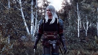 The Witcher 3 Ciri Armor Outfit Both Player and NPC [upl. by Benisch469]