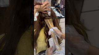 Beautiful Hair Highlights hair haircolor youtubeshorts shorts trending viralvideo [upl. by Airehc]