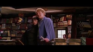 Harry Potter And The Chamber Of Secrets Free Online Youtube Video [upl. by Fredie]