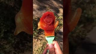 Pickle Juice  Tajin  Chamoy  BOMB Popsicles 🤤 popsicle summer hacks [upl. by Akiwak752]