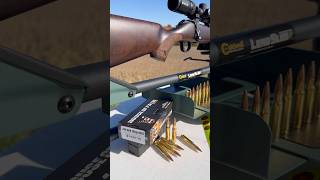 200yd 2” MOA  308 Bounce off GoPro HOPMunitions [upl. by Perla]