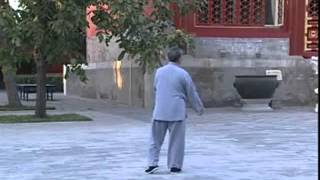 Hun Yuan Taichi  Feng Zhi Qiang  Cannon 46 part 1 [upl. by Ettigdirb15]