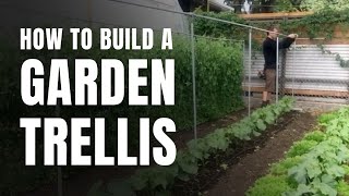 How to Build a Simple Garden Trellis [upl. by Medora]