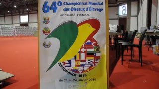 64º CAMPEONATO MUNDIAL DE ORNITOLOGIA 2016 [upl. by Aibar]