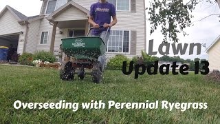 Overseeding With Perennial Ryegrass [upl. by Arreip441]