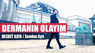 Necdet Kaya  Dermanın Olayım Official Audio [upl. by Flore834]