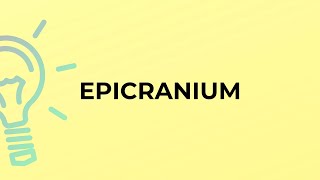 What is the meaning of the word EPICRANIUM [upl. by Alrahc]