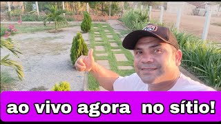 Vídeo novo Betinho do sertão [upl. by Munro]