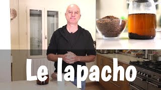 Le lapacho  propriétés anticancer et anticandida albicans [upl. by Aurita68]