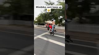 Kawasaki Z1000 Wheelie motorcycle wheelie bikelife [upl. by Oirrad]