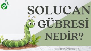 SOLUCAN GÃœBRESÄ° NEDÄ°R SOLUCAN GÃœBRESÄ° NASIL KULLANILIR SOLUCAN GÃœBRESÄ° NASIL YAPILIR [upl. by Otrebor]