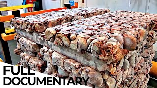 Inside The Pet Food Factory  ENDEVR Documentary [upl. by Atews]