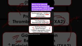 Describe the functions of cyclooxygenase1 COX1 in the formation of prostaglandins [upl. by Buckels651]