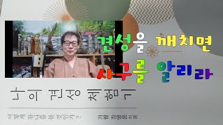 살활동시를 깨치면조사들과의 선문답에 막힘이 없으리라900회 선요 13 제 13강의 [upl. by Ecirtac]