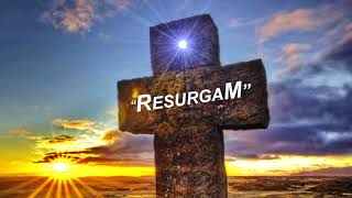 RESURGAM Live Stream [upl. by Roch]